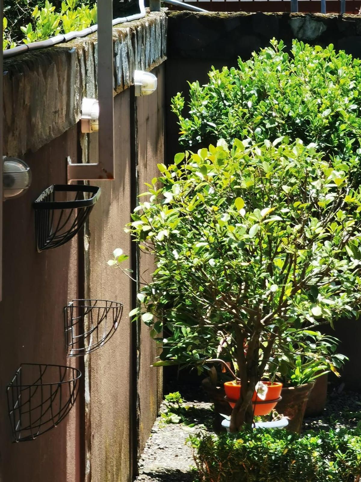 ケポス Sunrise House Bed & Breakfast エクステリア 写真